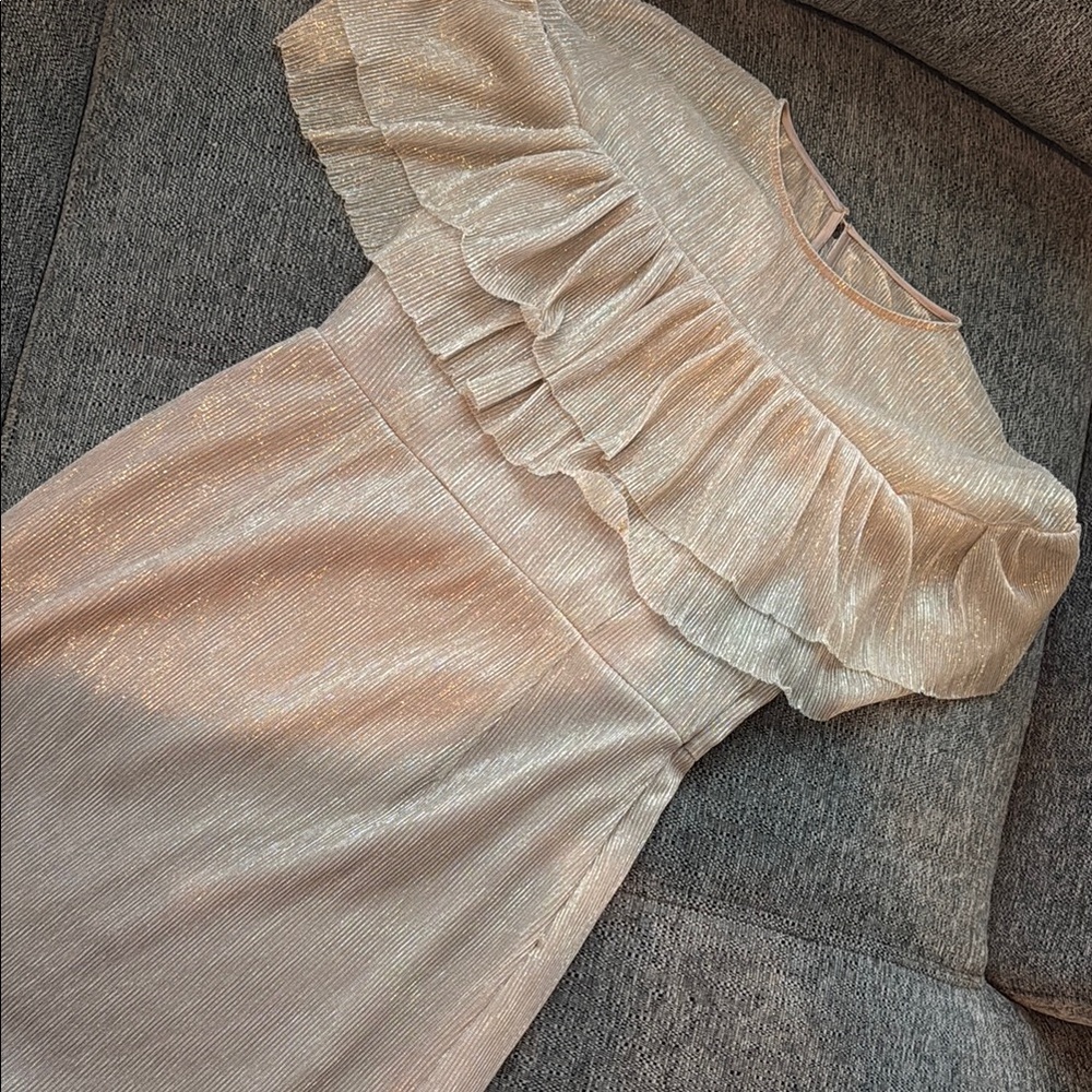 Gianni Bini Shimmering Silver Dress